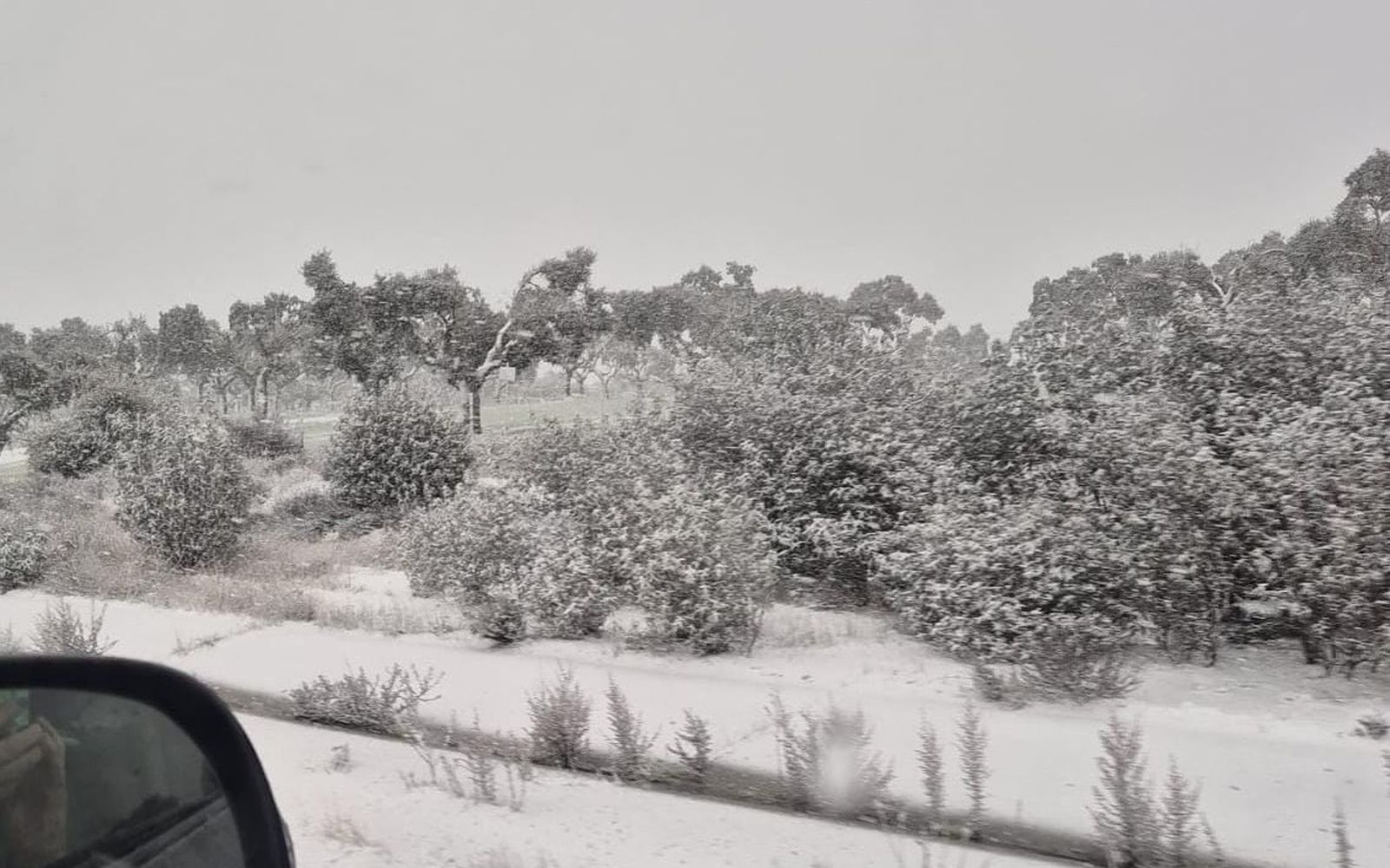 Nieve en la A-66 en Béjar