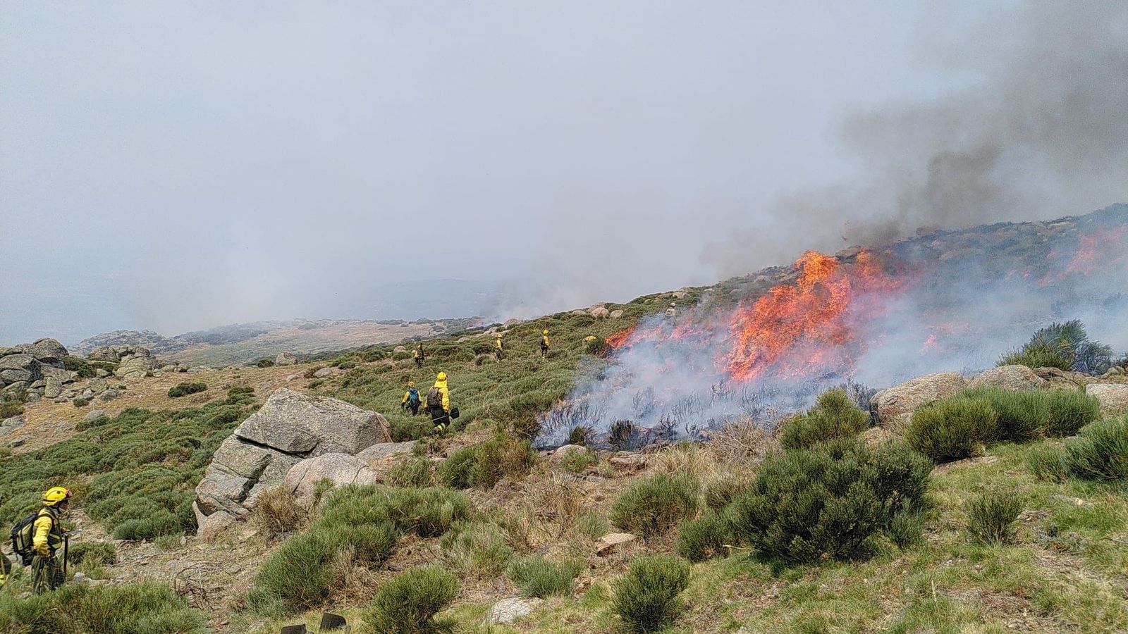 Aplicación de fuego técnico en Candelario. Foto @brif_iglesuela
