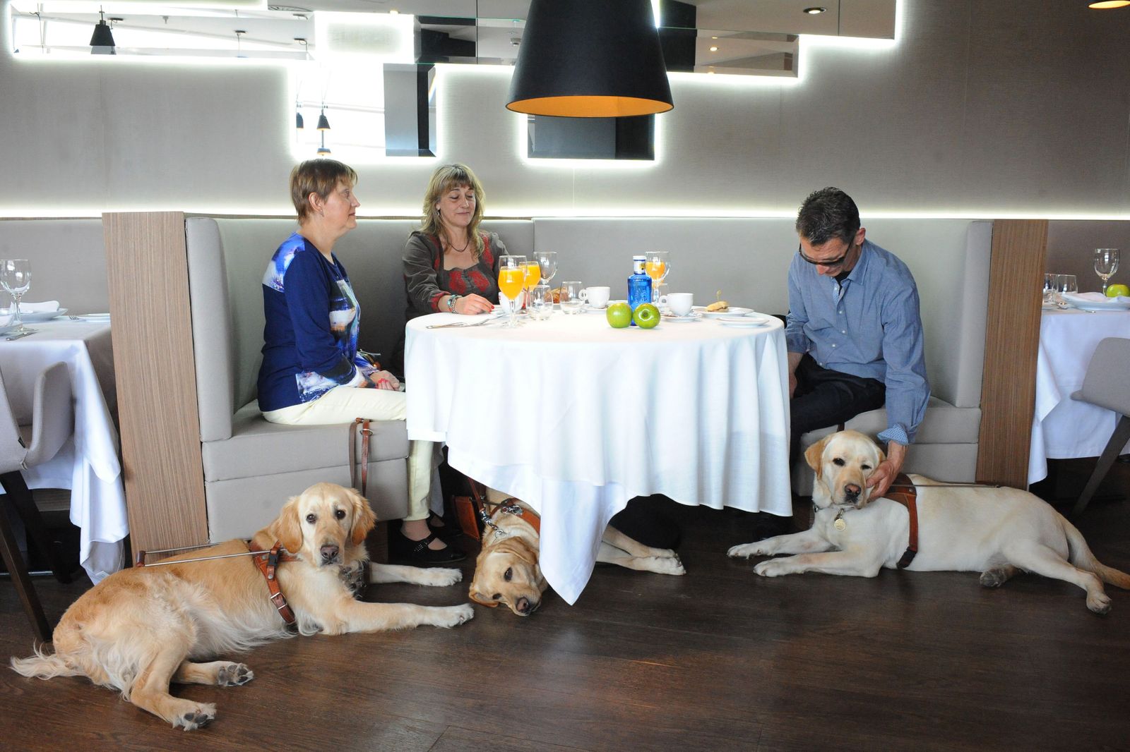 Perros guía de la Fundación ONCE