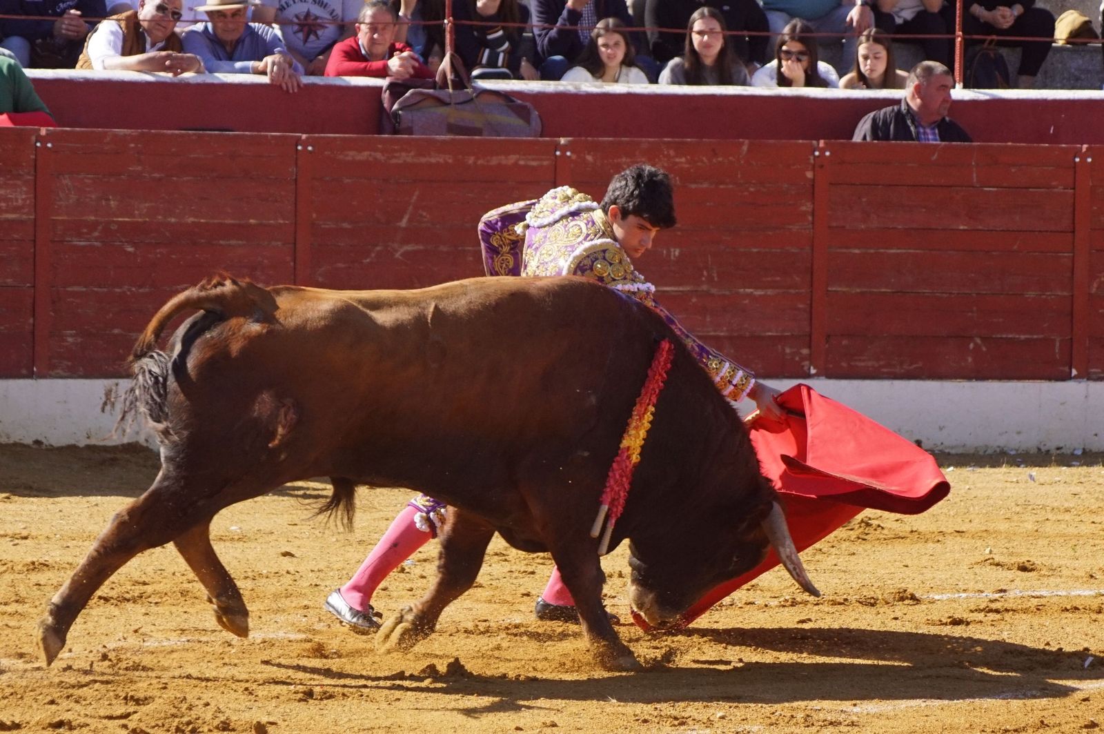 novillada-con-picadores-en-villoria-22