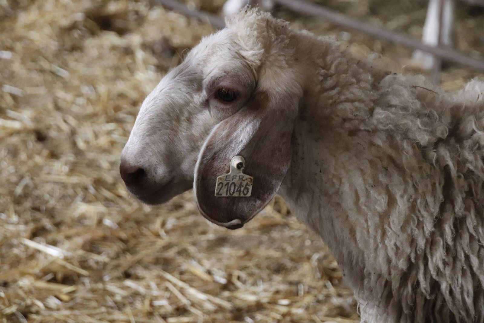 20220520102122-mg-8441