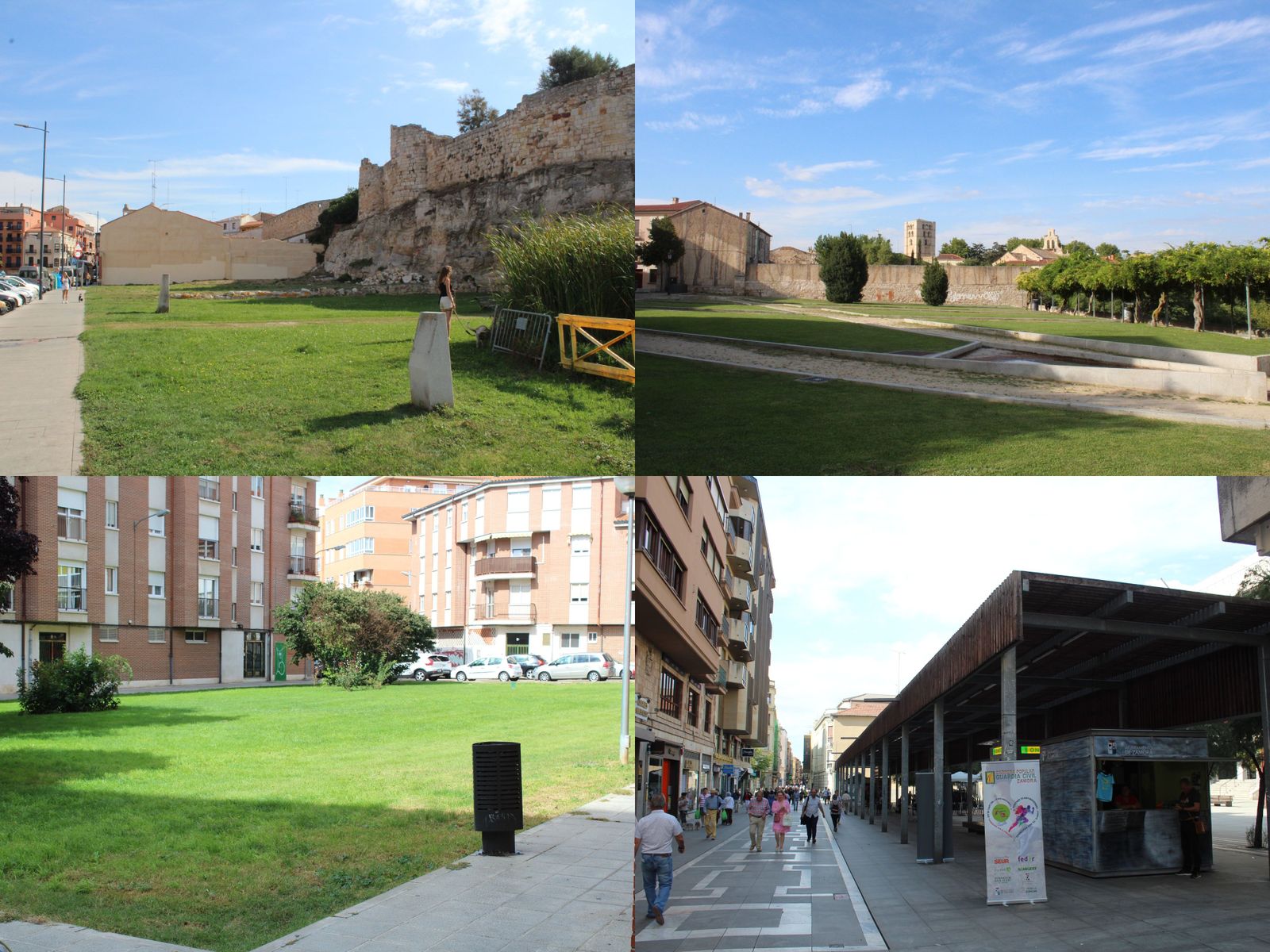 Proyectos enmarcados para renaturalizar Zamora