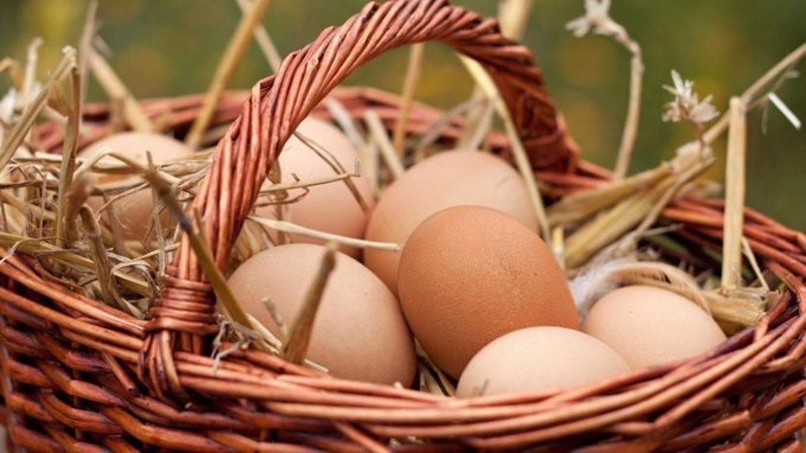 Cesta con huevos | Fotografía EP