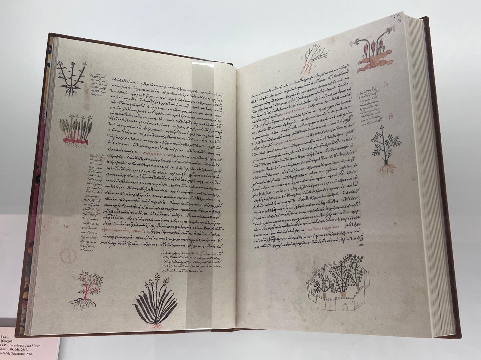 whatsapp-image-2024-07-19-at-11-59-13