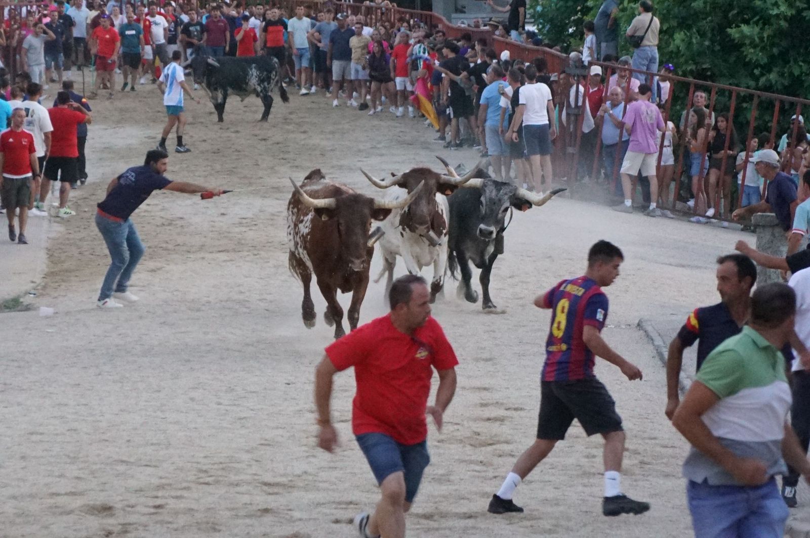 Pasión, tradición y calle: así se ha vivido en Ledesma el II Toro de Cajón