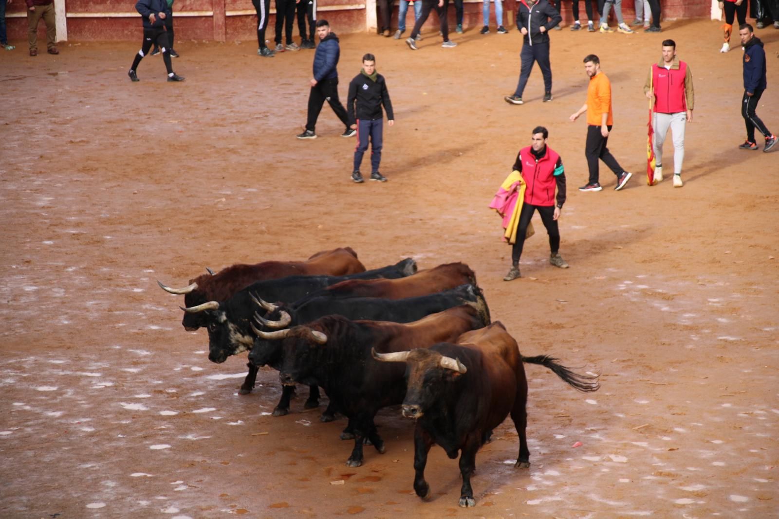 encierro-del-martes-de-carnaval-en-ciudad-rodrigo-15