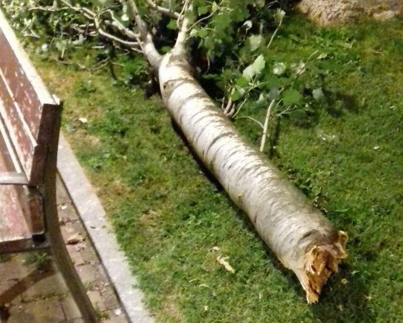 WhatsApp Image 2019 06 27 at 09.56.44