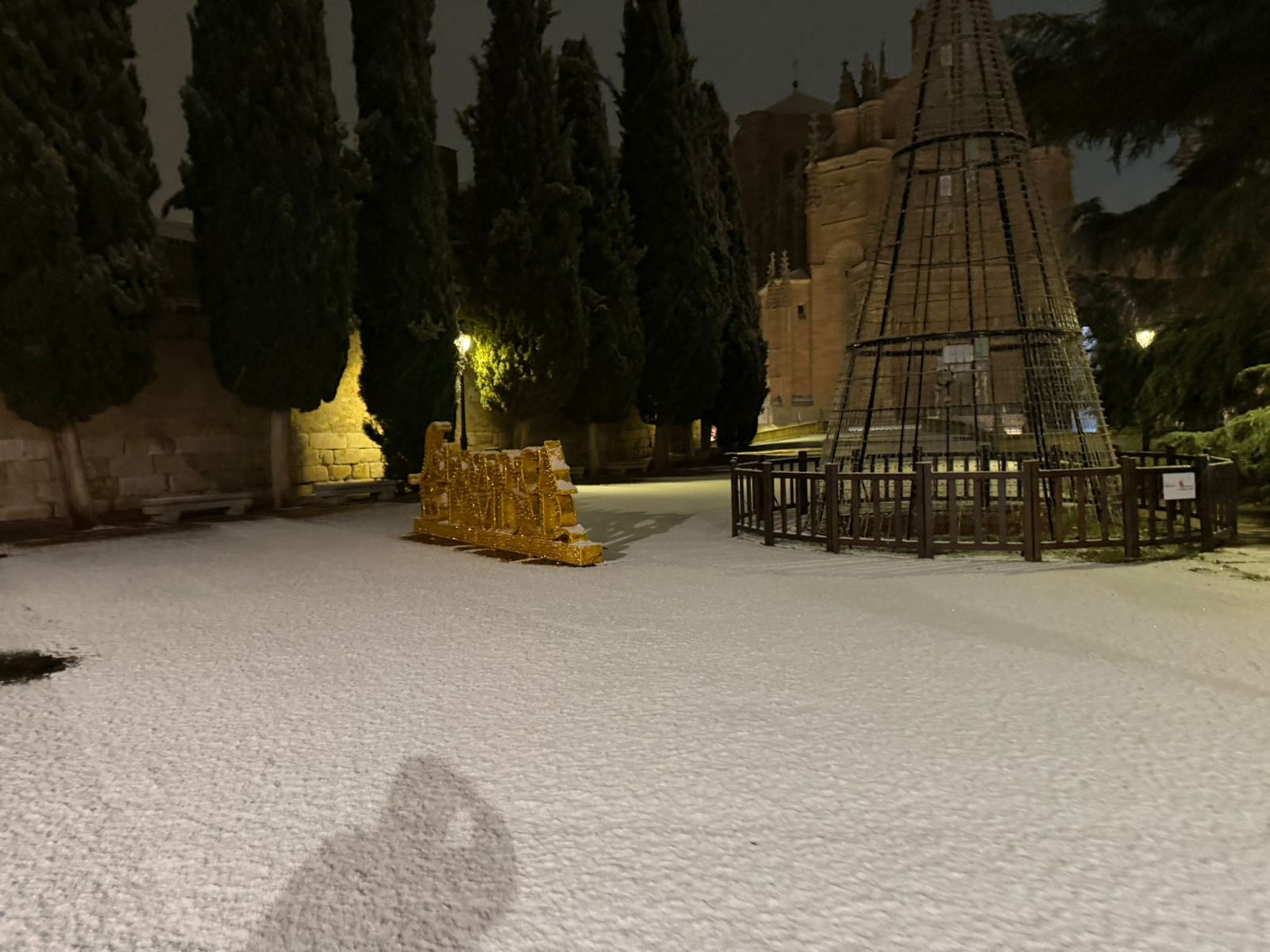 Nieve en Salamanca capital
