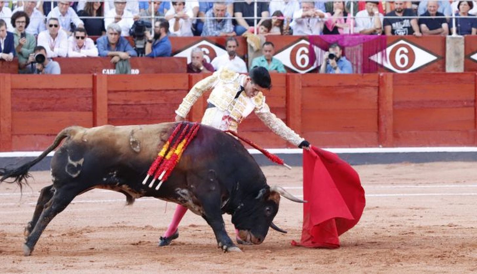 WhatsApp Image 2022 09 18 at 6.44.13 PM