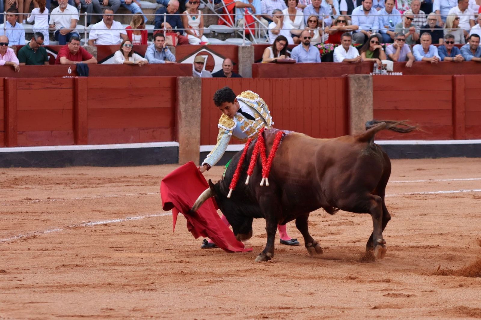 20230910174405-img-1879