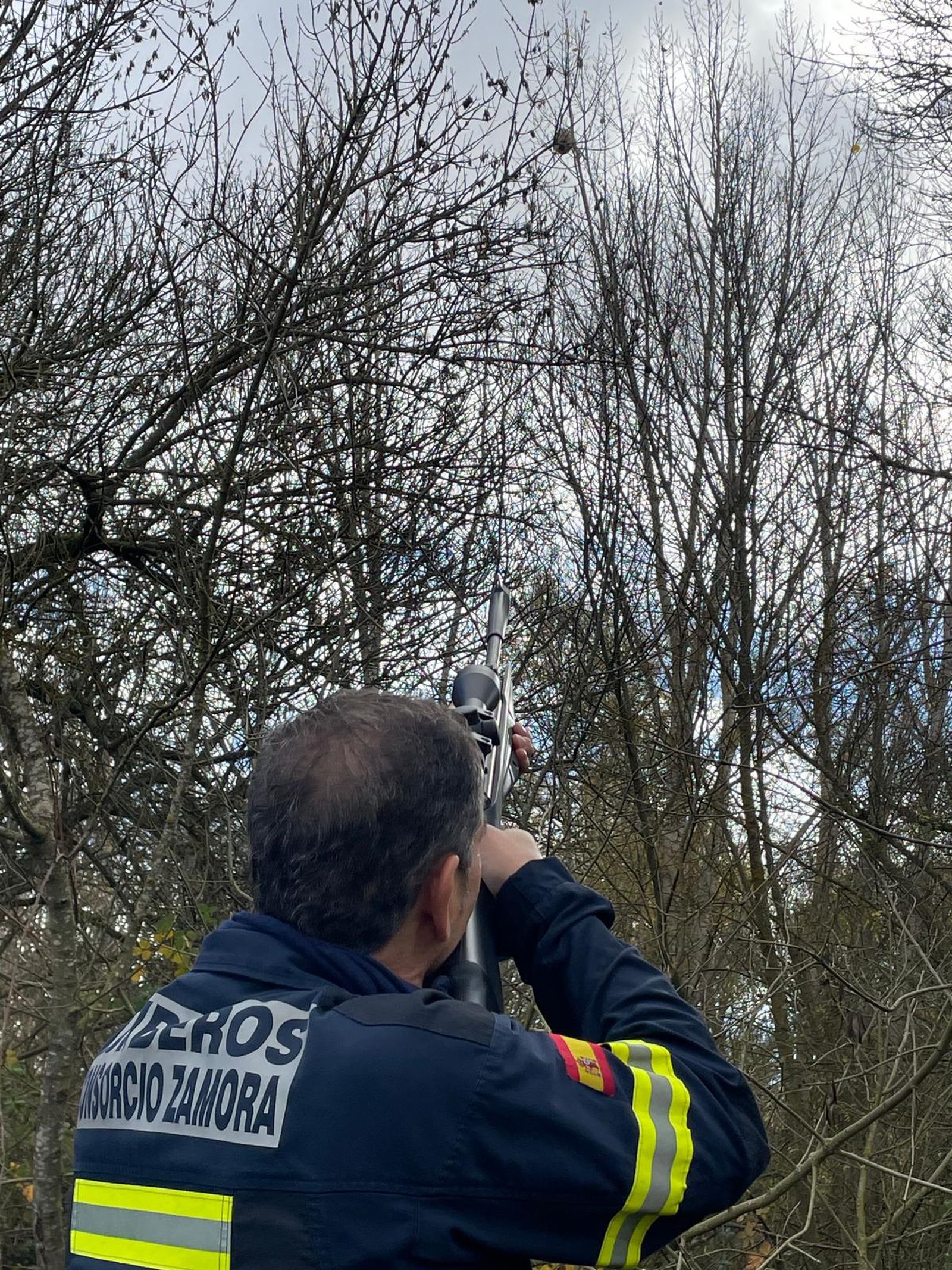 Una dotación del Cuerpo de Bomberos de Benavente retiró el nido
