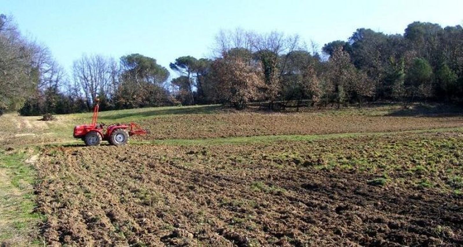 La UE amplía el plazo para la presentación de la solicitud única de ayudas de la PAC