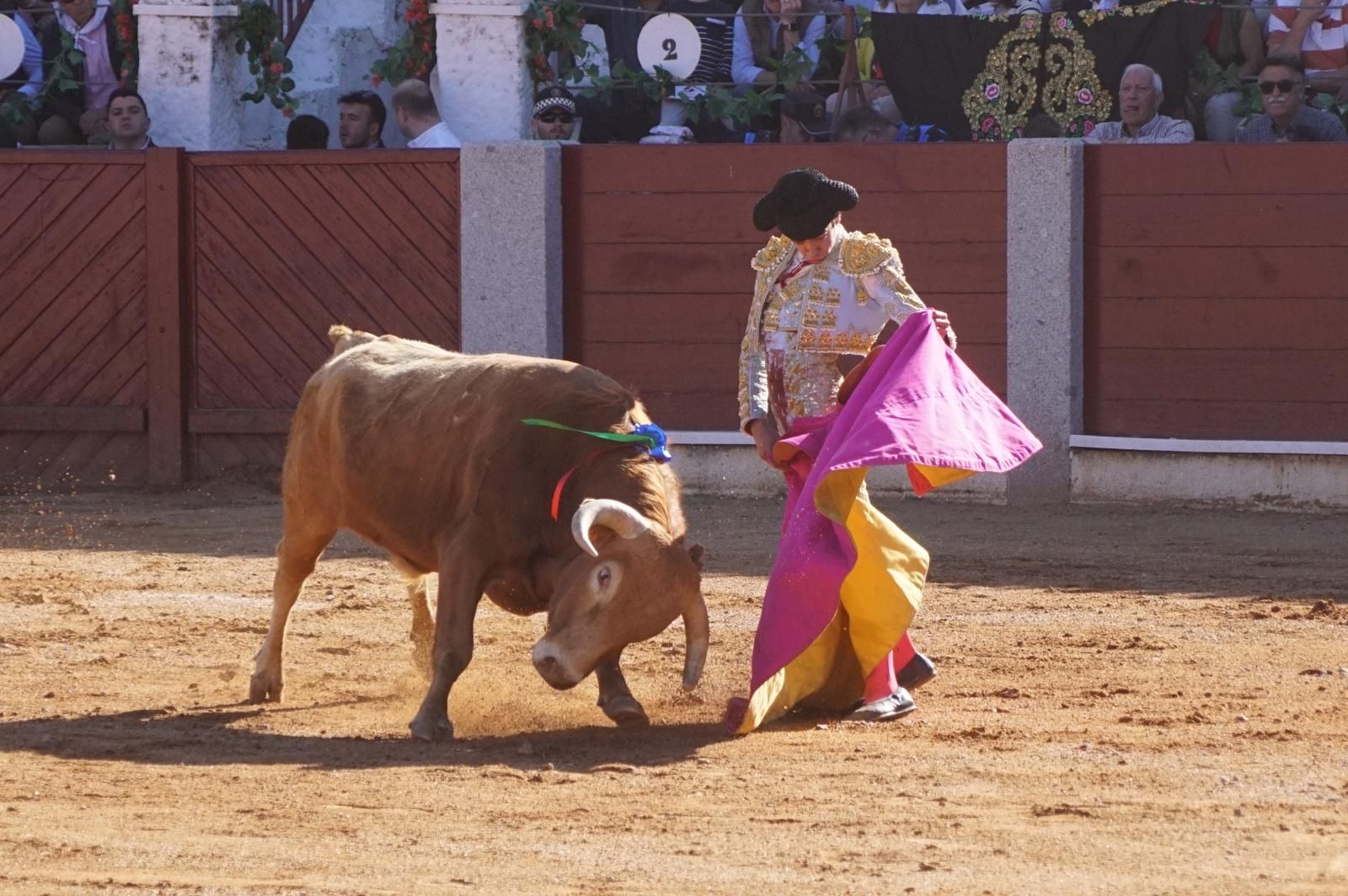 whatsapp-image-2024-04-20-at-19-59-32-1