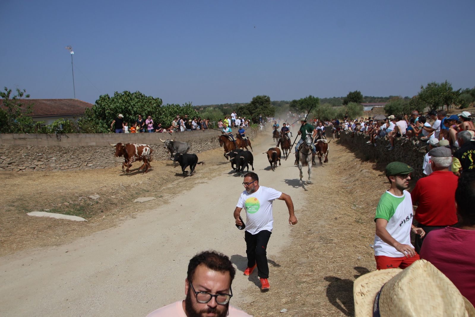 Lumbrales encierro a caballo, dia 2