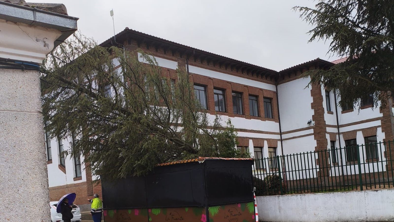 Arbol caido en Babilafuente por las lluvias y el viento