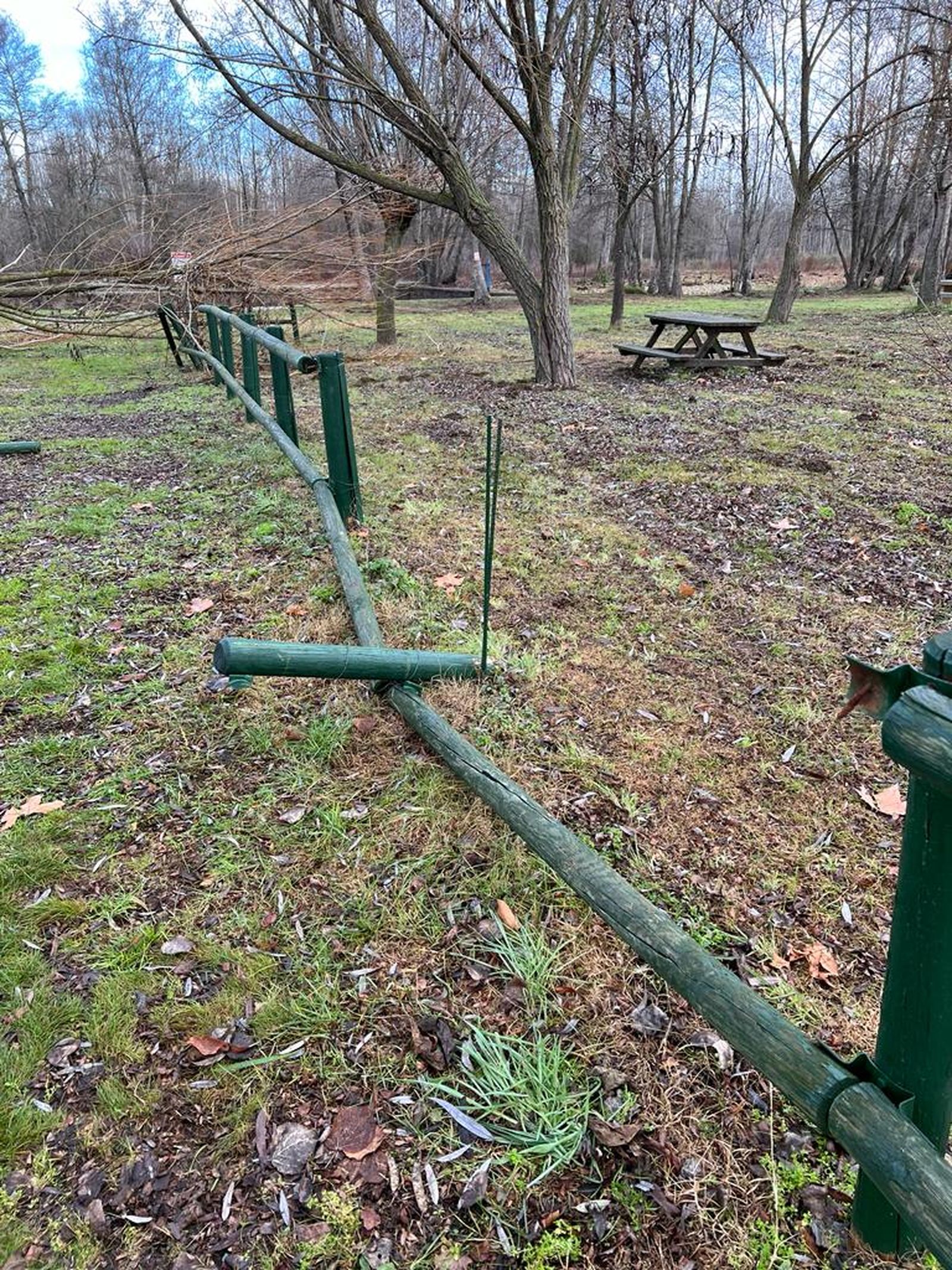 whatsapp-image-2024-01-04-at-13-16-41-1