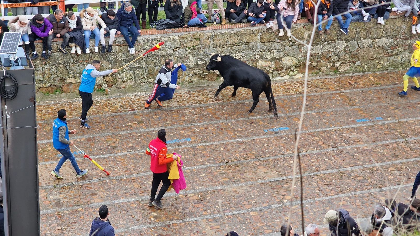 Desencierro domingo de carnaval en Ciudad Rodrigo
