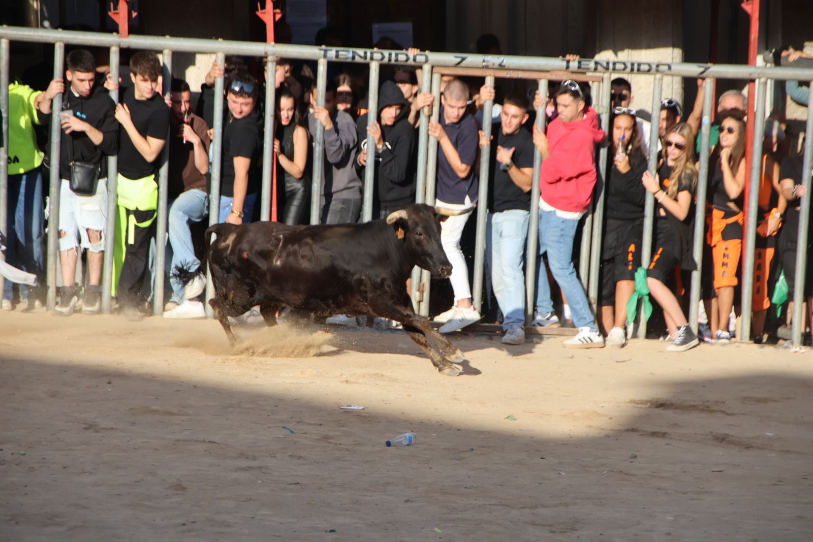 Encierro en Aldeadávila