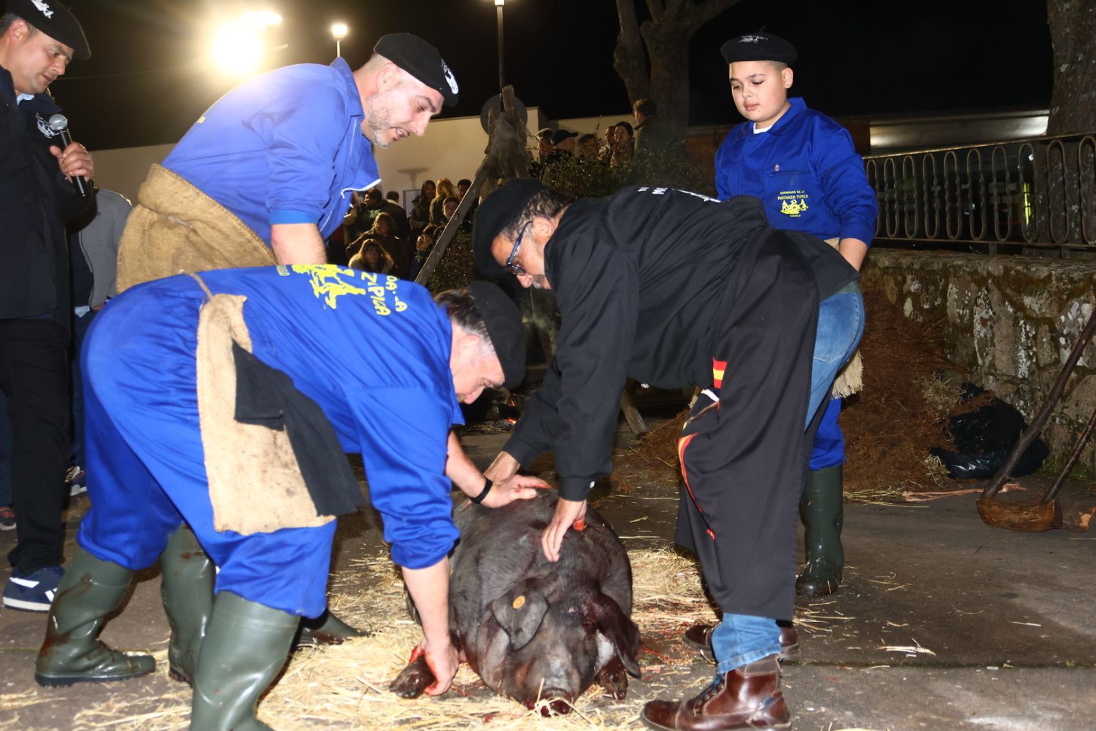 Matanza nocturna de Guijuelo dedicada a la hostelería