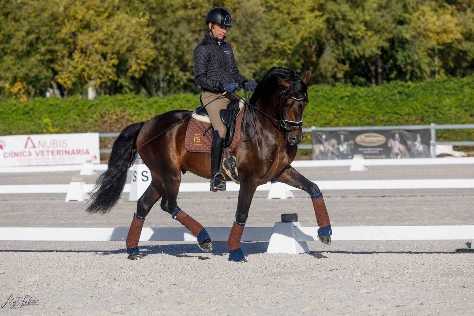 Norteño fs yeguada arroyomonte campeonato mundo caballos jovenes verden