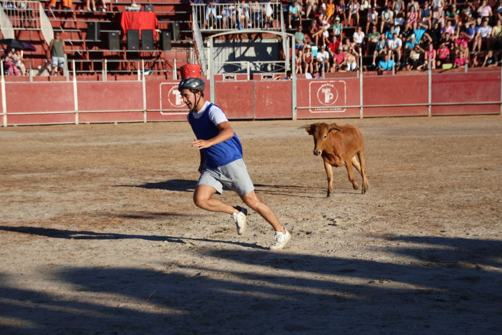 20240816185630-img-3989