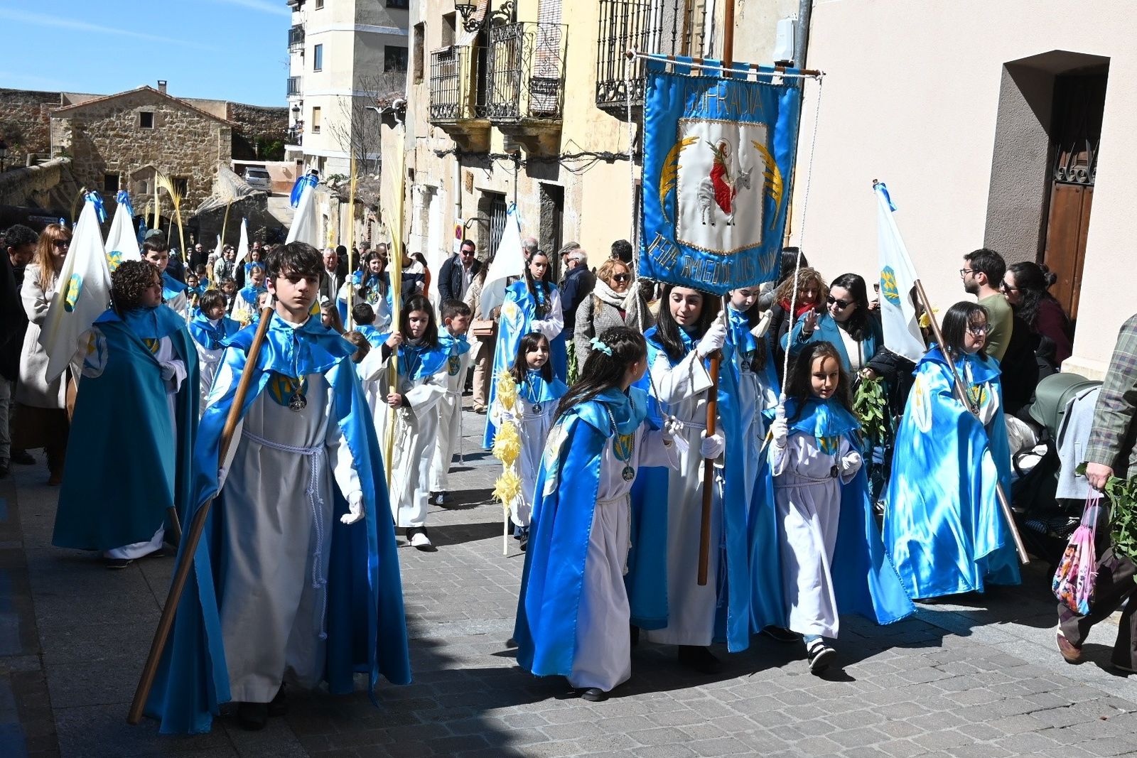 Procesión de La Borriquilla en Ciudad Rodrigo (3).jpg