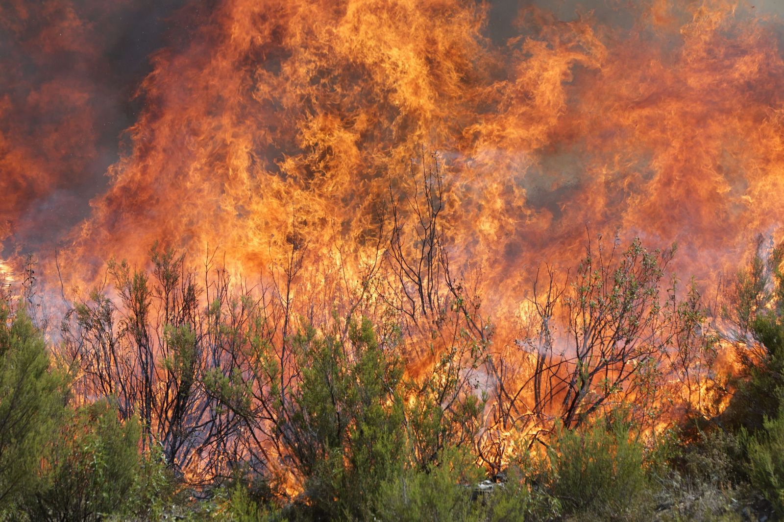GALERÍA | Las imágenes de la lucha contra el fuego en Puercas
