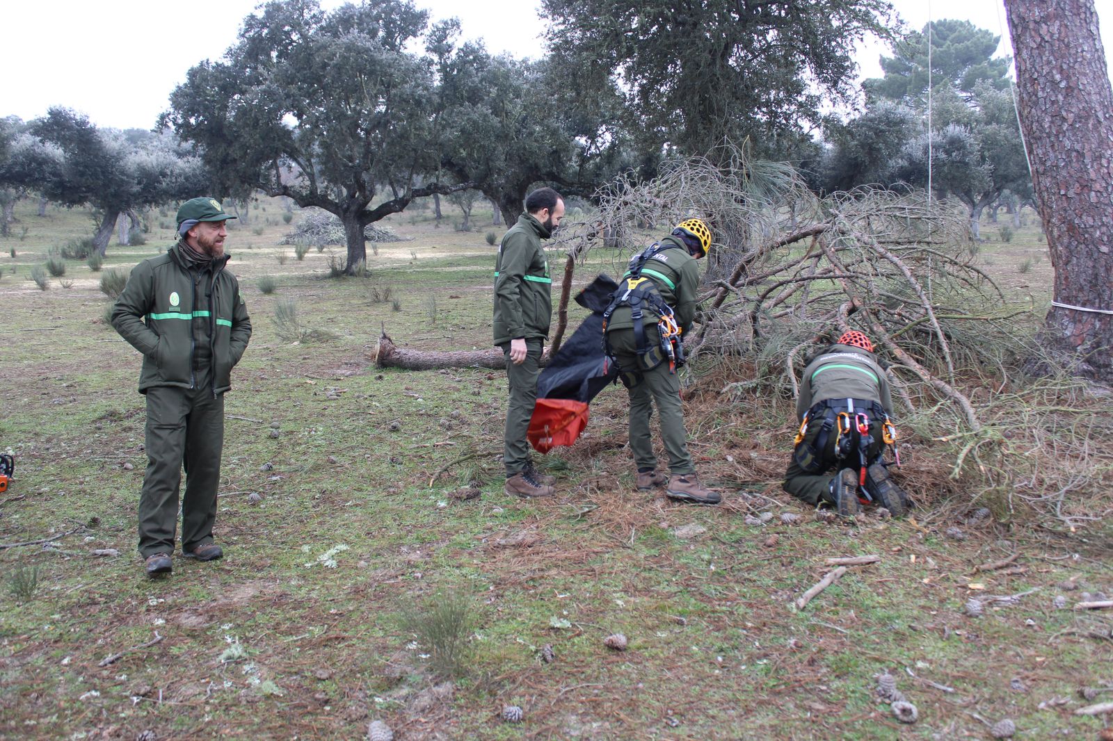 grupo-de-intervenciones-en-altura-agentes-medioambientales-reparacion-nido-cigueena-negra-en-espeja-100