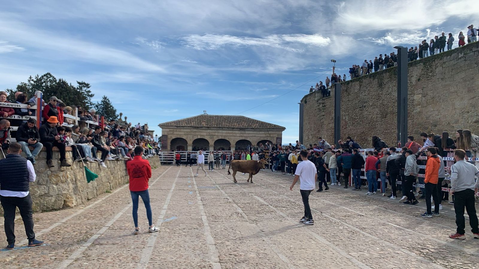 Ambiente con la suelta de vaquillas en el Domingo de Piñata en Ciudad Rodrigo (1)