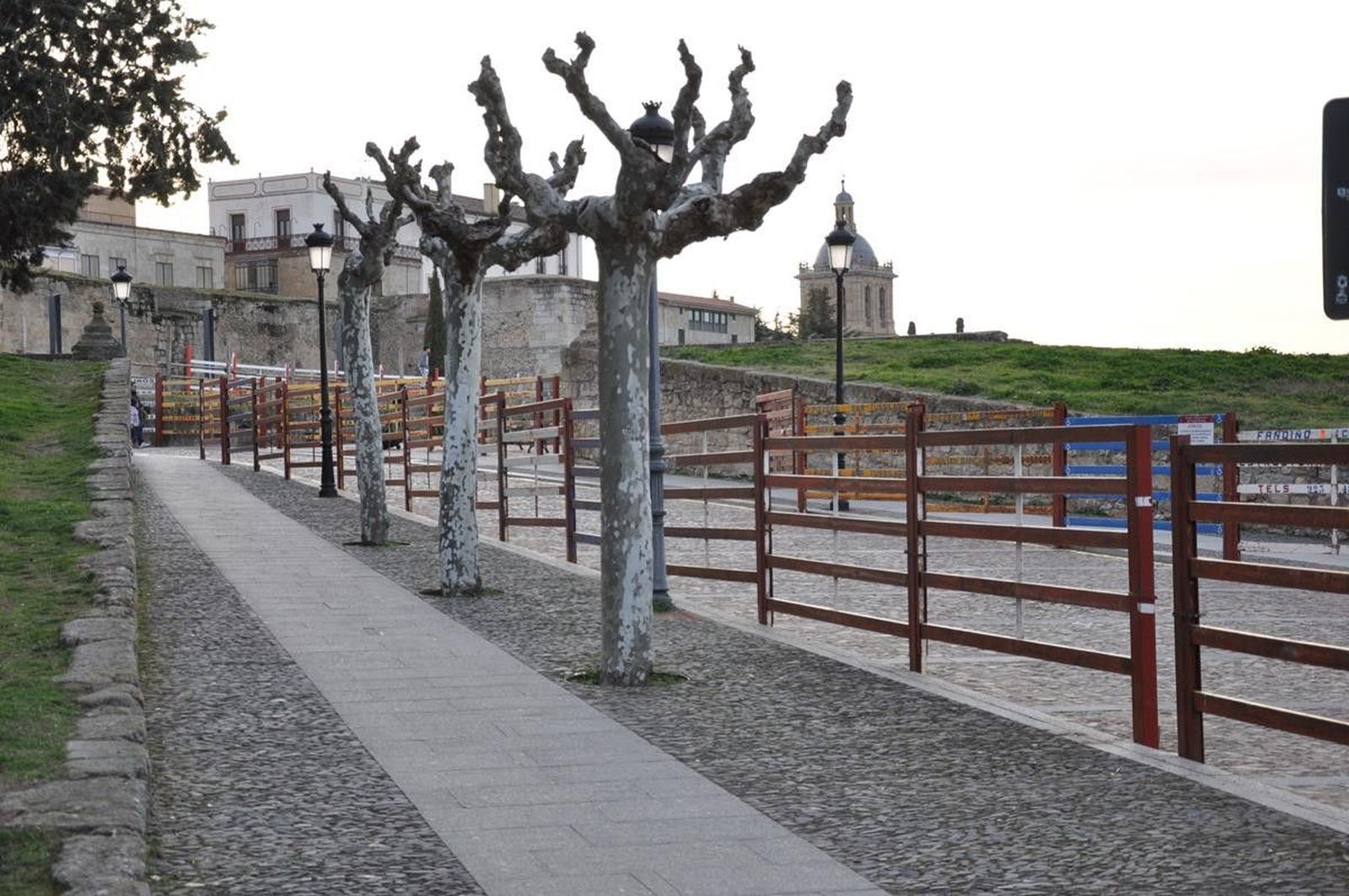 Ciudad Rodrigo Carnaval del Toro 2019 (2)