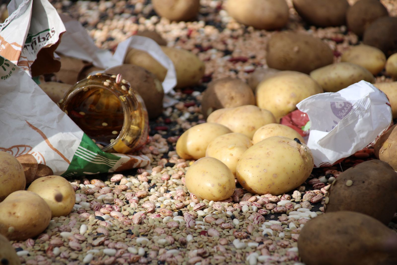 concentracion-profesionales-del-campo-en-el-carrefour-28