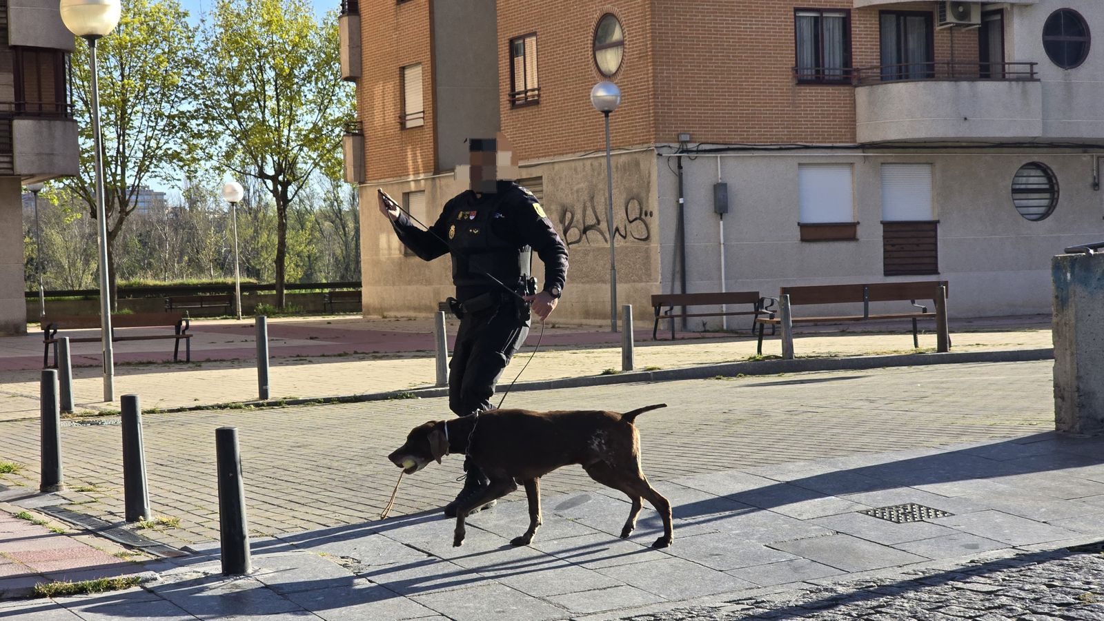 whatsapp-image-2025-04-08-at-09-48-15