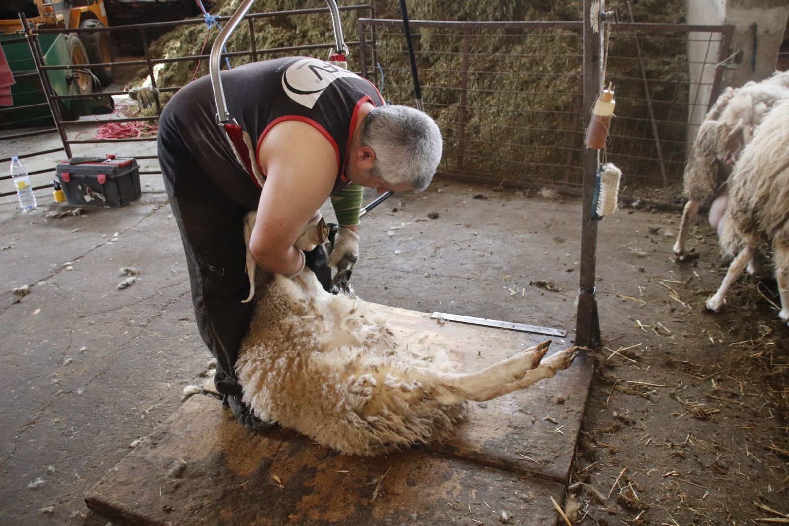 20220520102939-mg-8469