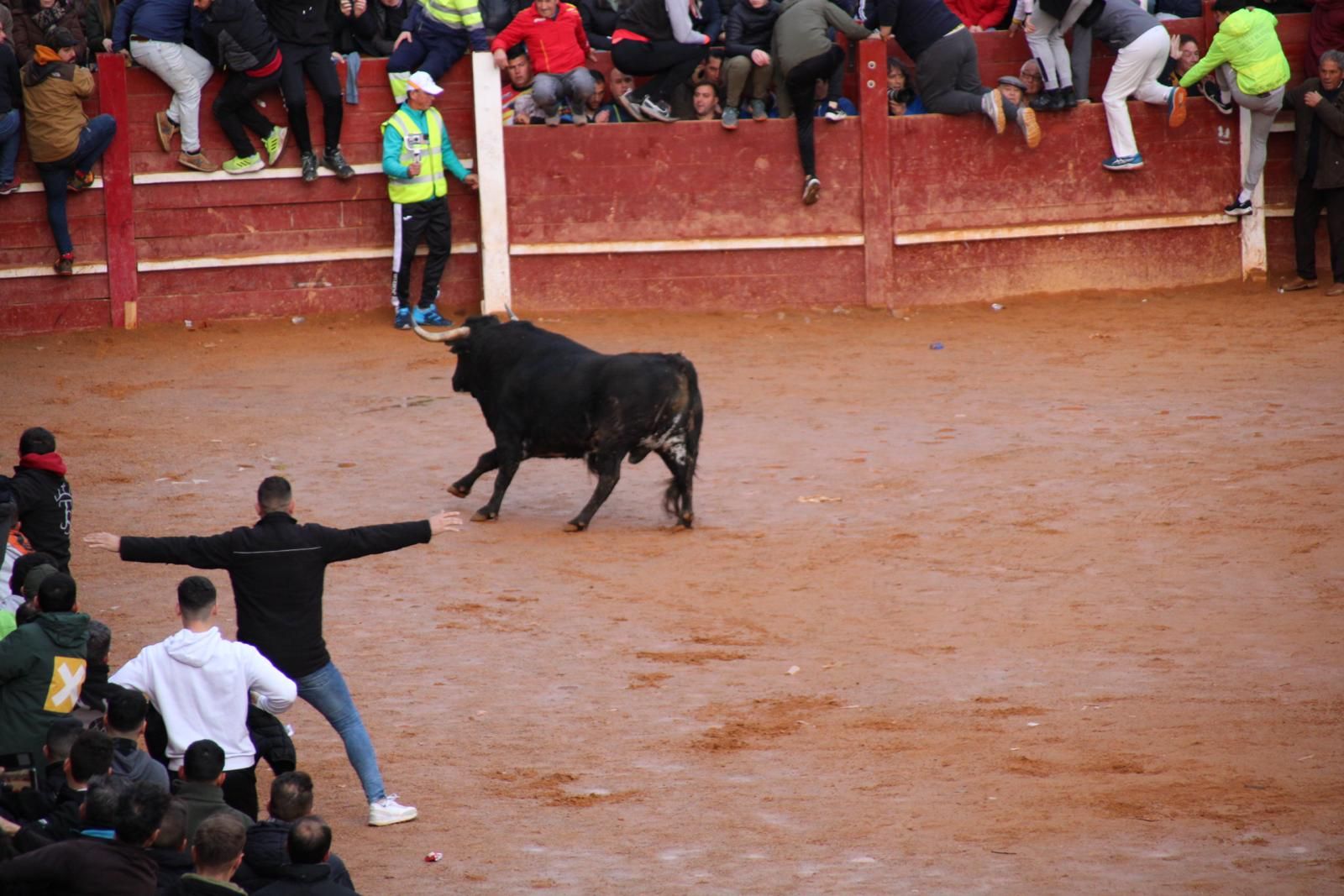 toro-del-aguardiente-en-ciudad-rodrigo-carnaval-24-7