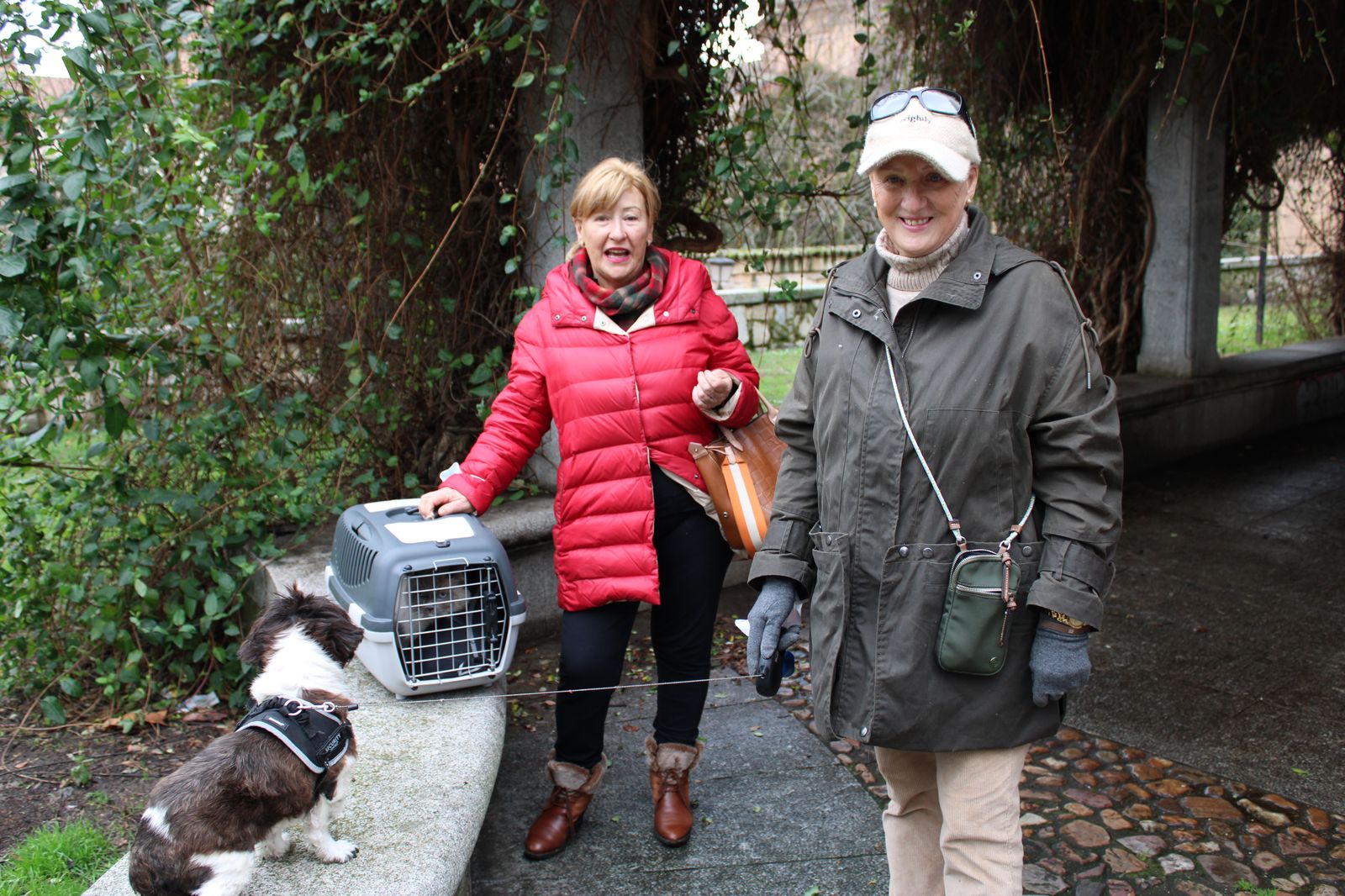 San Antón, bendición de animales 2024. Foto S24H (1)