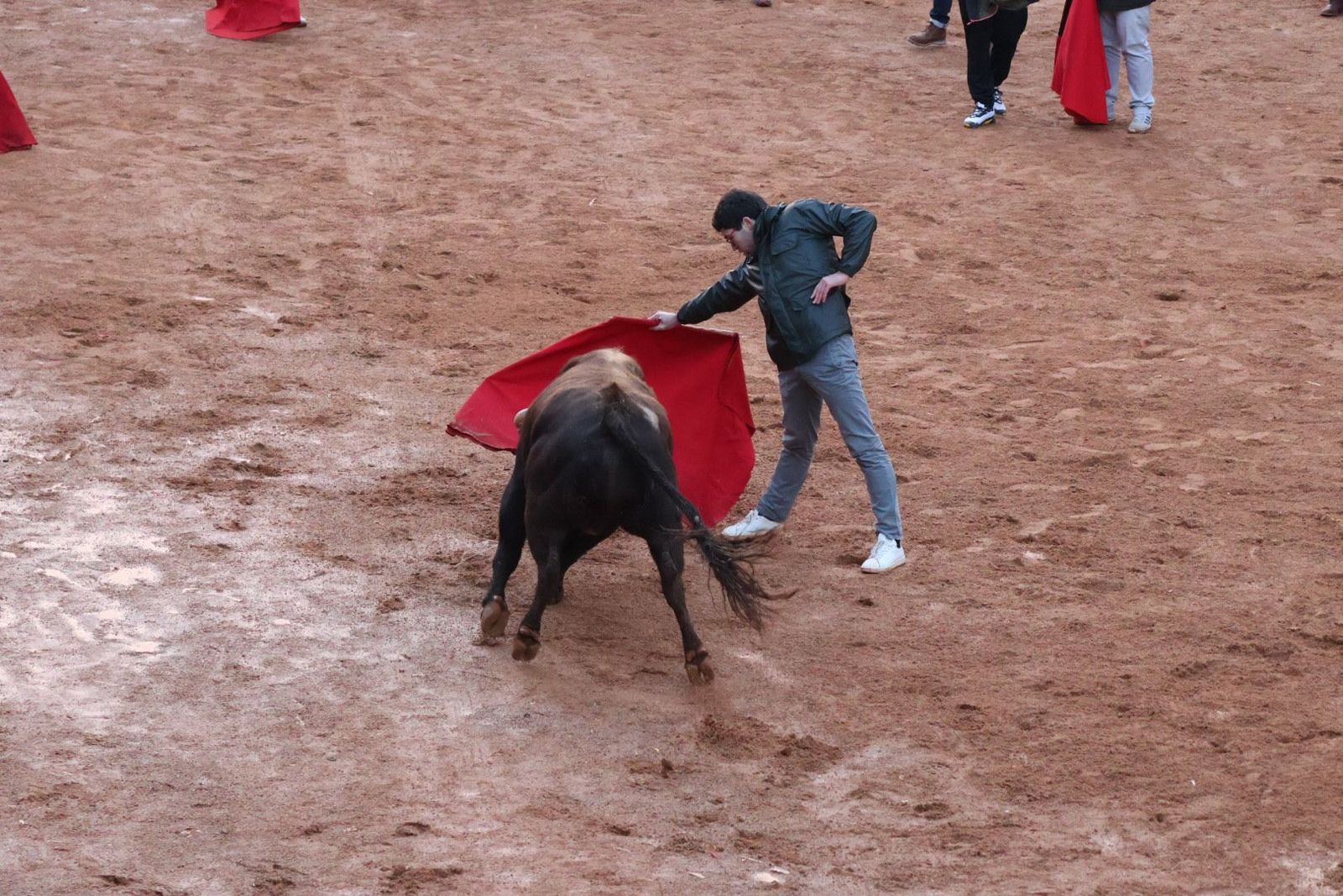 20240210184649-img-6014