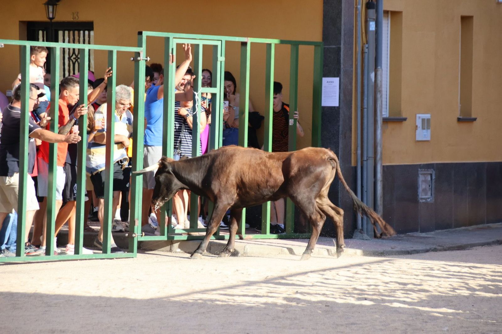 20240817183450-img-4449