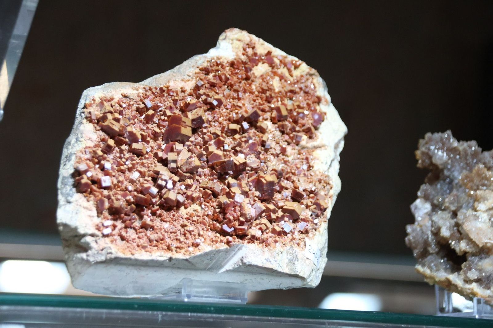 20240517103428-img-0410