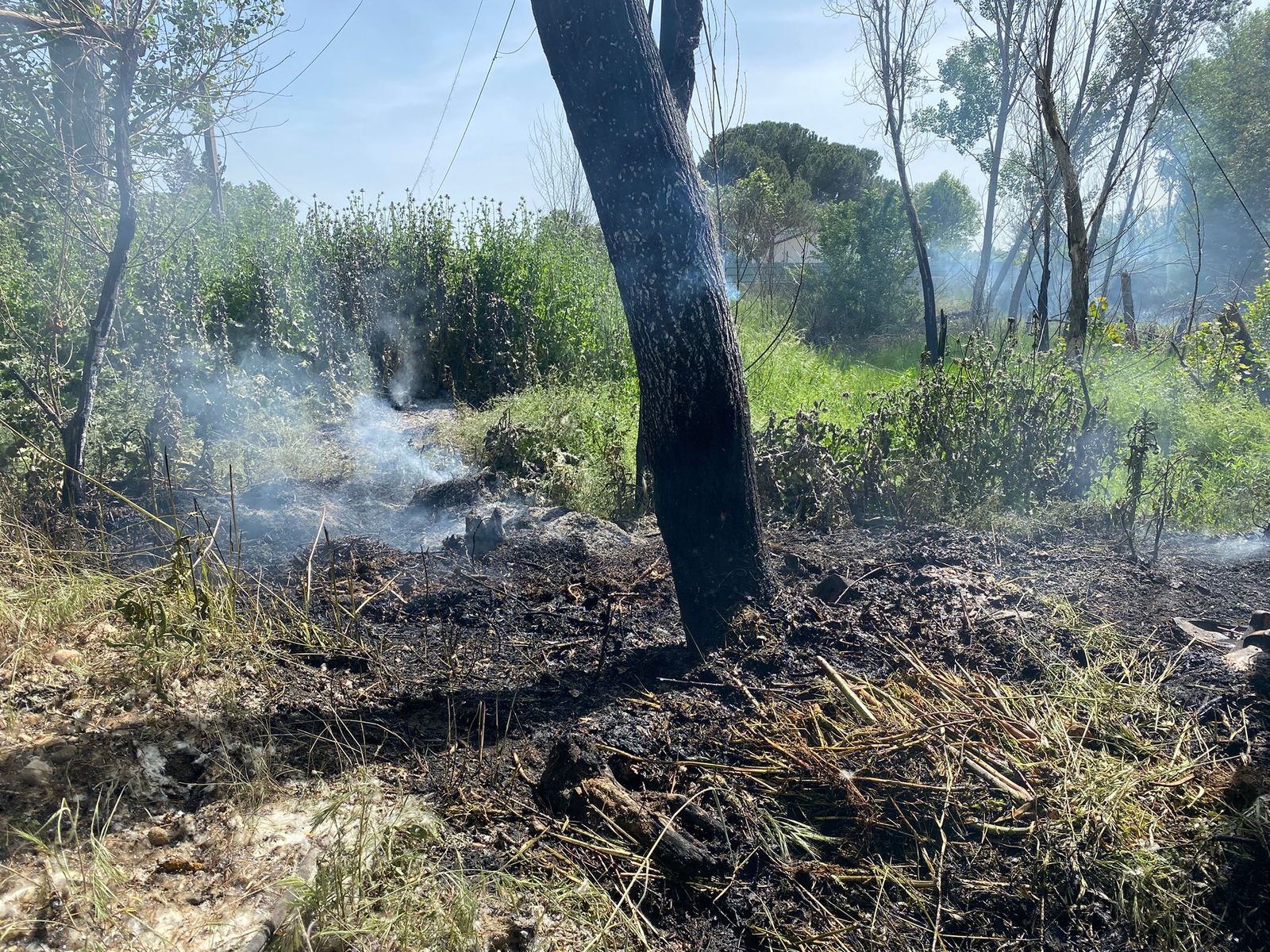 Los bomberos sofocan un incendio entre el puente del Pradillo y La Fontana