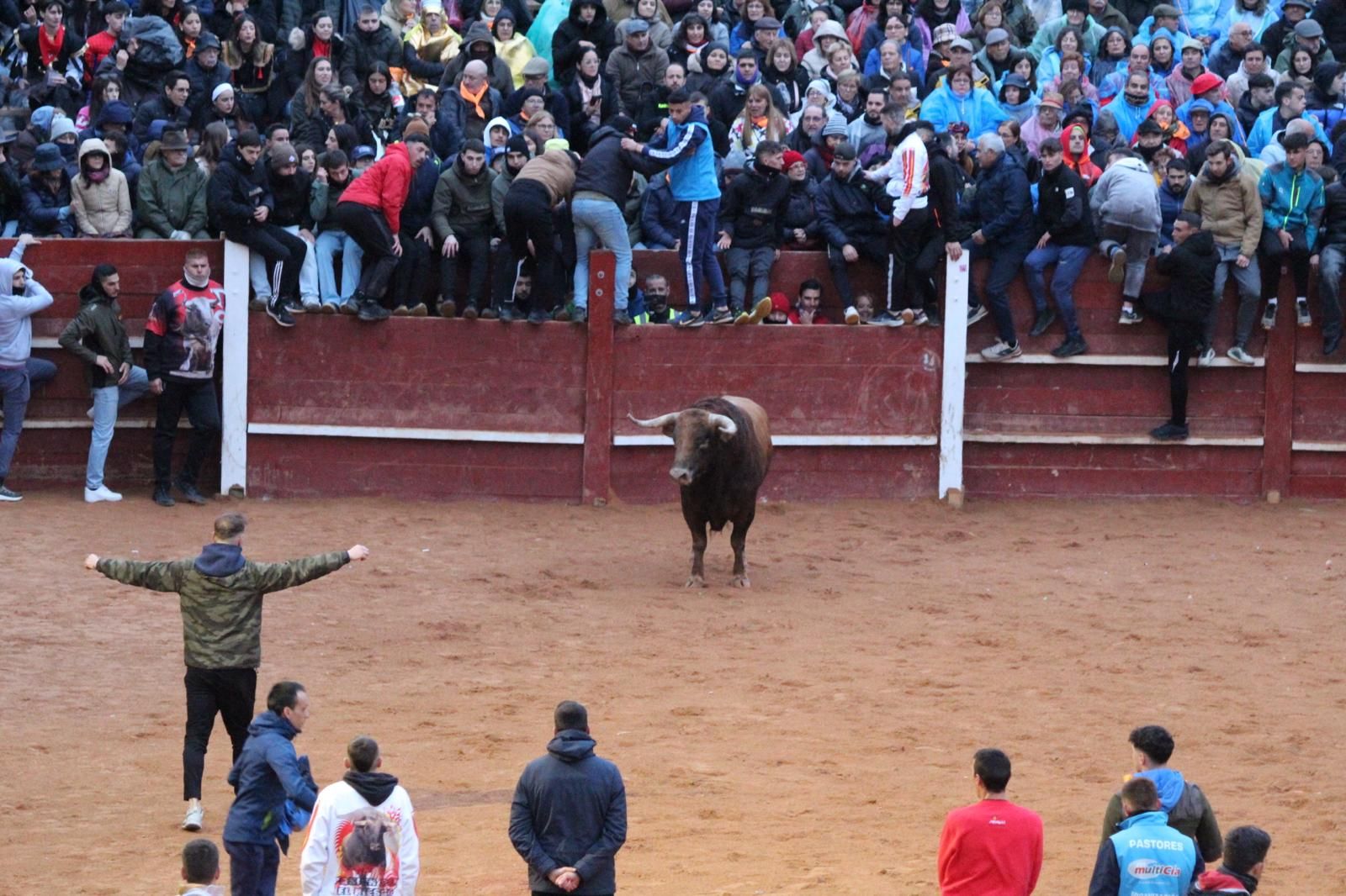 ambiente-y-capea-vespertina-sabado-de-carnaval-en-ciudad-rodrigo-2025-fotos-belen-hurtado-63