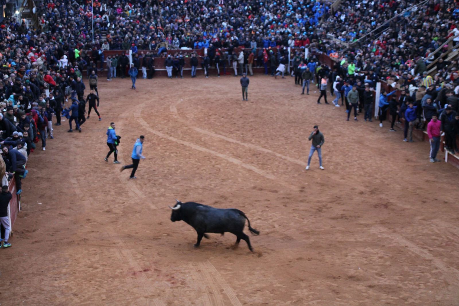 whatsapp-image-2025-03-02-at-19-32-36