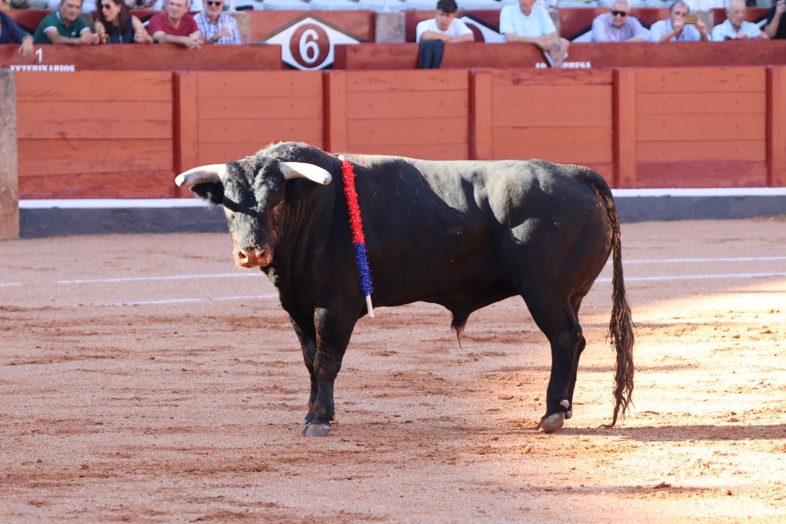 La Glorieta revive el aroma de la feria taurina con el primer festejo: Lea Vicens, Raquel Martín y Olga Casado