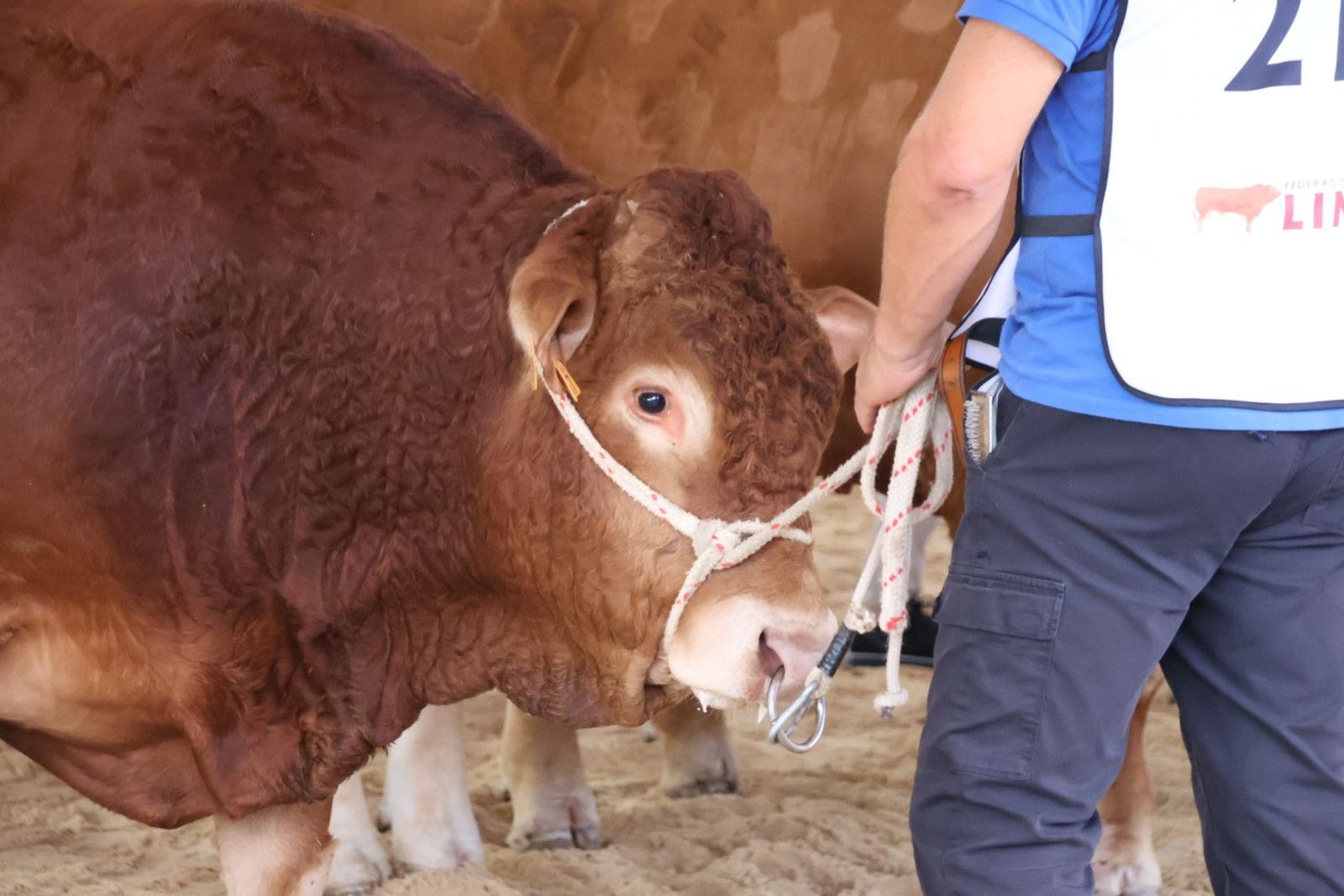 20230902102521-img-6963