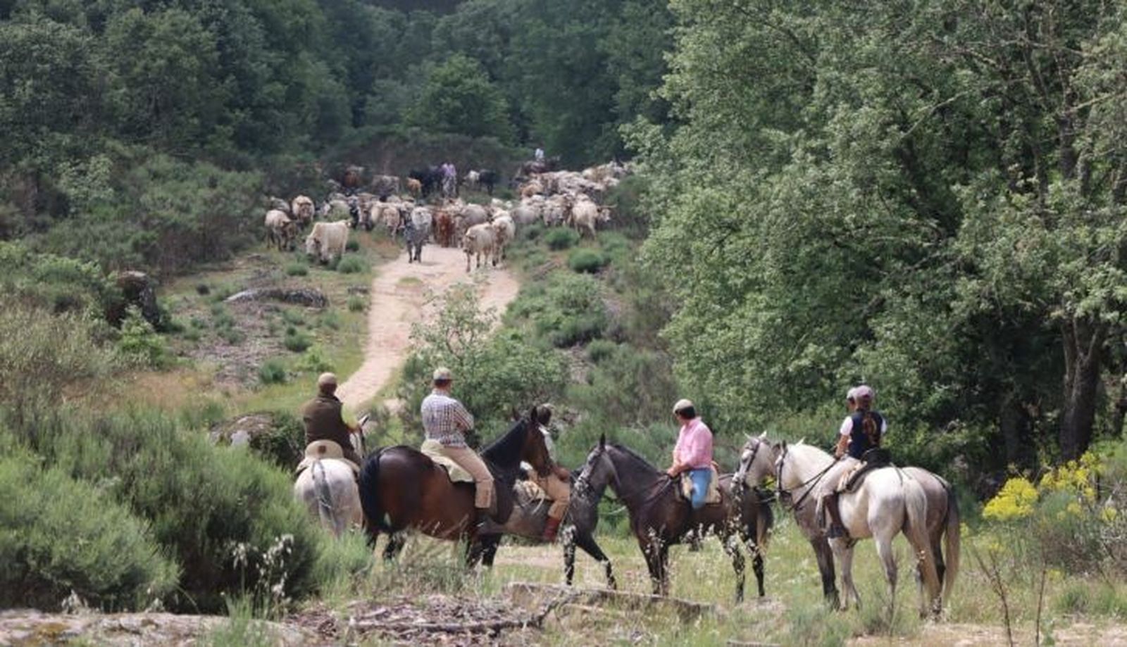 WhatsApp Image 2023 11 24 at 10.56.18