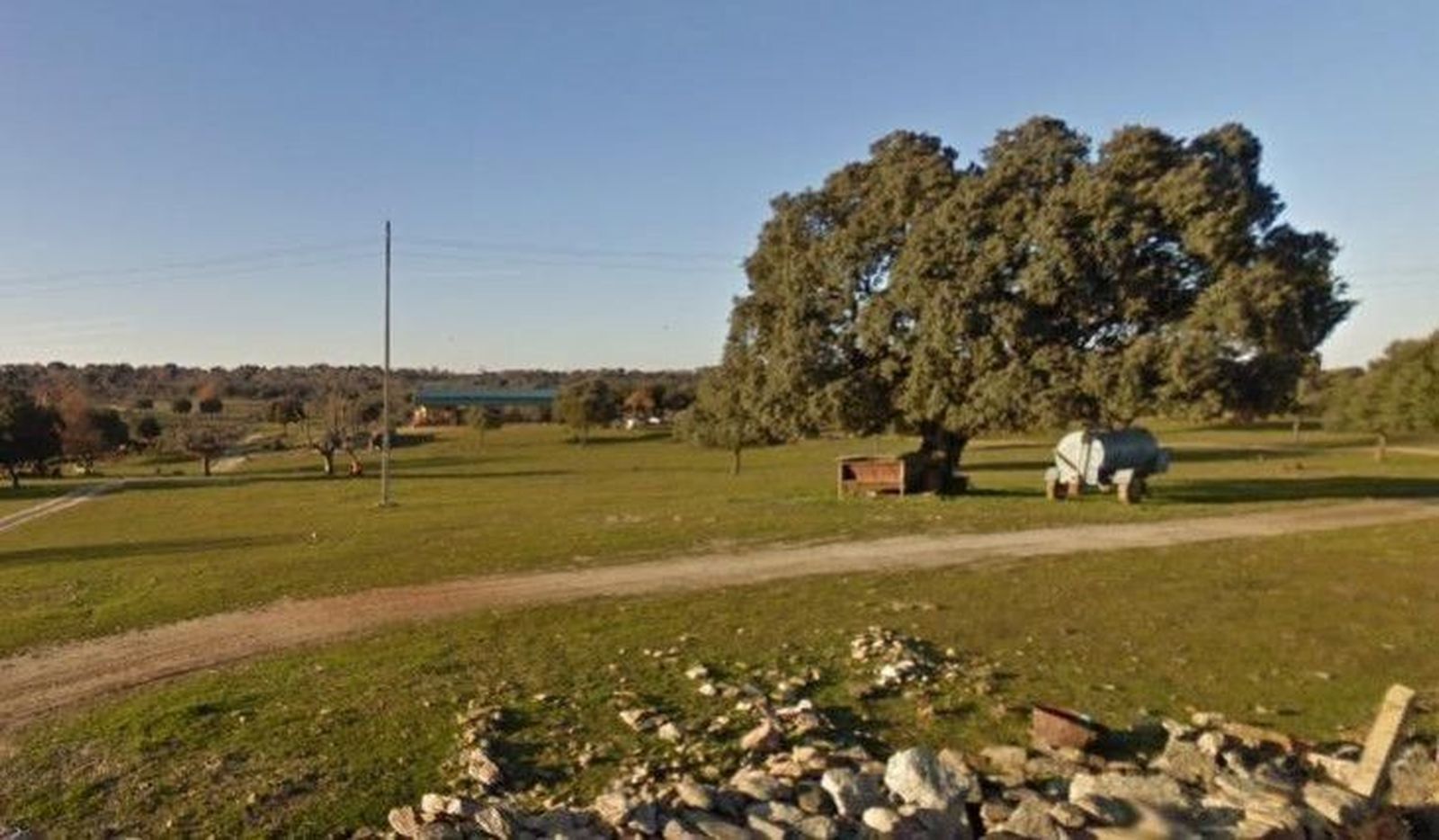 Los buenos zorros de Picones