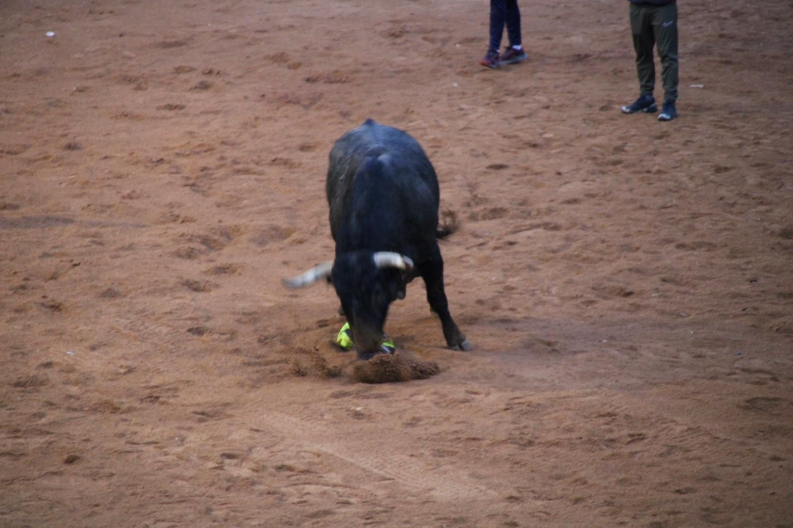 whatsapp-image-2025-03-02-at-19-32-39-4