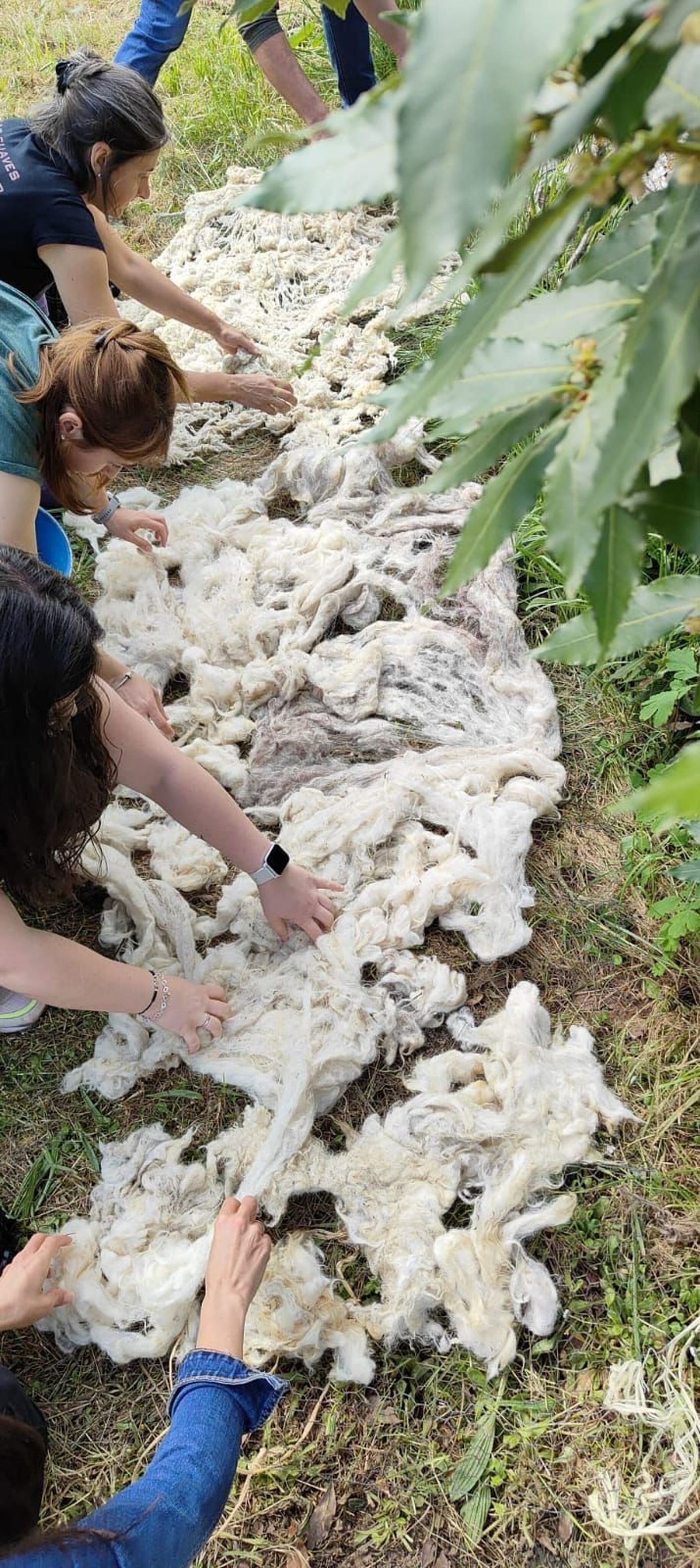 'Hilando tradiciones'