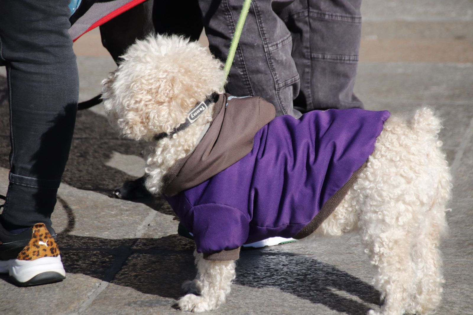 20230205122225-mg-5745