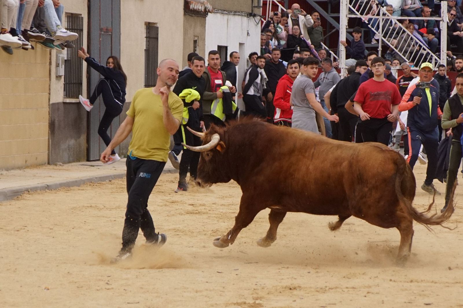 Villoria, toro del Voto