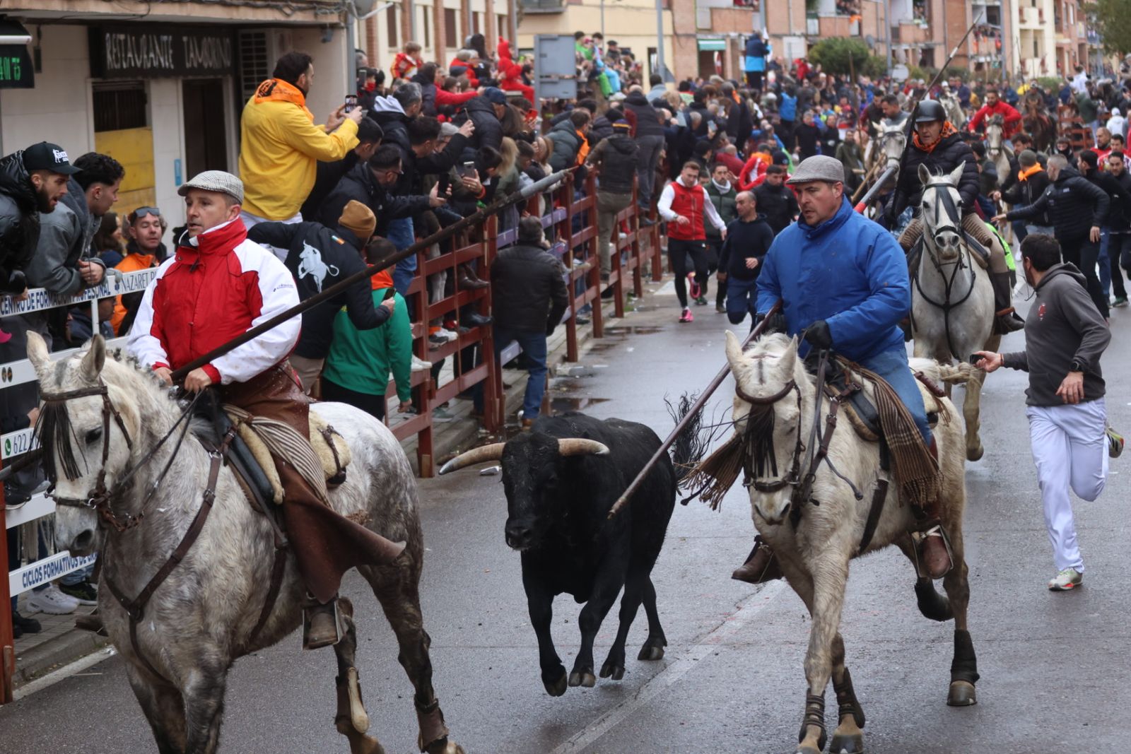 Encierro a Caballo en el Carnaval del Toro 2026 de Ciudad Rodrigo